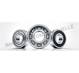 roulement boite de vitesse dsg